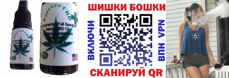 купить наркоту  мега tor  Canna-Cookies конопля  Сортавала 
