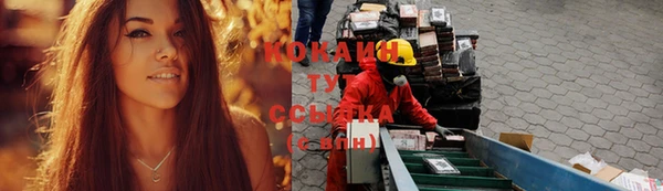 стаф Алексин