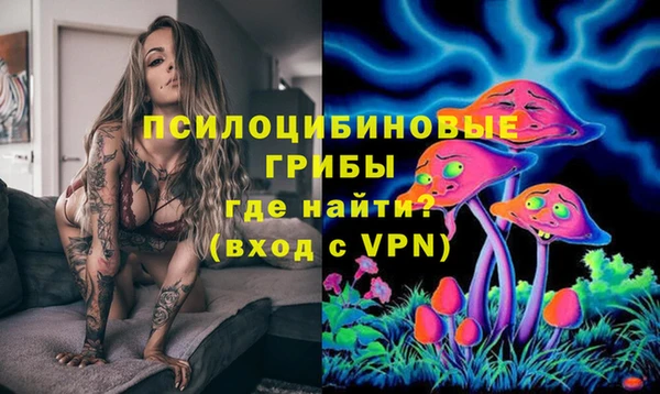 ECSTASY Алексеевка