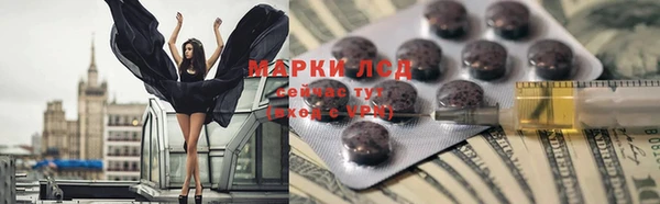 стаф Алексин