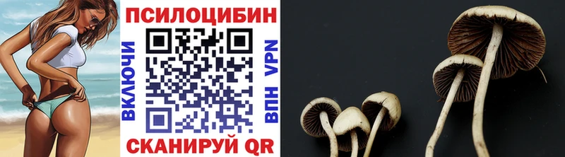 Галлюциногенные грибы Magic Shrooms  Сортавала 