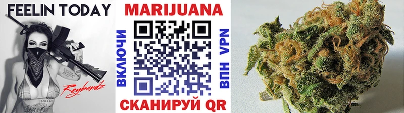 закладки  Сортавала  Конопля планчик 